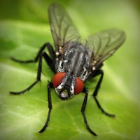 /album/paleteria-la-chinita/photolia-a01-jpg/