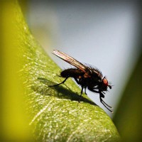 /album/paleteria-la-chinita/photolia-a04-jpg/