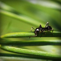 /album/paleteria-la-chinita/photolia-a05-jpg/