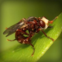 /album/paleteria-la-chinita/photolia-a06-jpg/