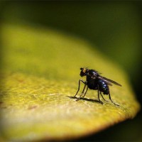 /album/paleteria-la-chinita/photolia-a07-jpg/